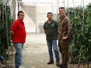 Javier López, de RZ, junto a dos productores intercambiando opiniones sobre los California de la multinacional de semillas