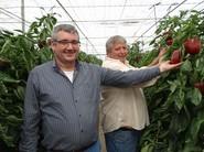 Estos dos agricultores se han mostrado más que satisfechos con las tres variedades de pimiento que mostró en campo Rijk Zwaan