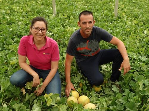 Beatriz Palmero, responsable de desarrollo de melón de HM. Clause, junto a Juan Carlos González, agricultor de Terral.