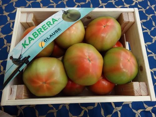 Presentación del tomate Kabrera F1 en caja.
