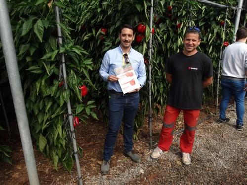 David González con el propietario de la finca cultivada con la variedad Amparo.