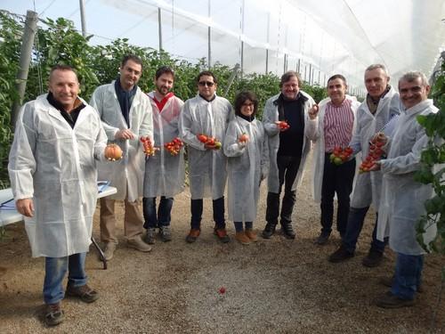 El equipo de ISI Sementi, de España e Italia posando con los distintos tipos de tomate