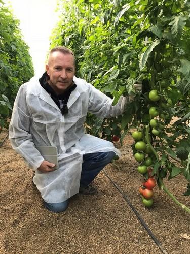Albert Alcón, Sales Manager Península Ibérica en ISI SEMENTI, mostrando la excelente variedad de tomate ramo
