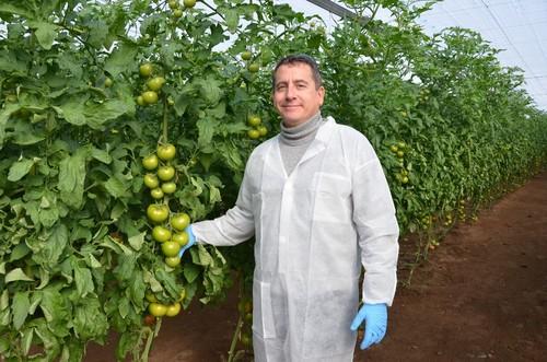 Luis García, responsable de Desarrollo para tomate de Ibérica de Monsanto