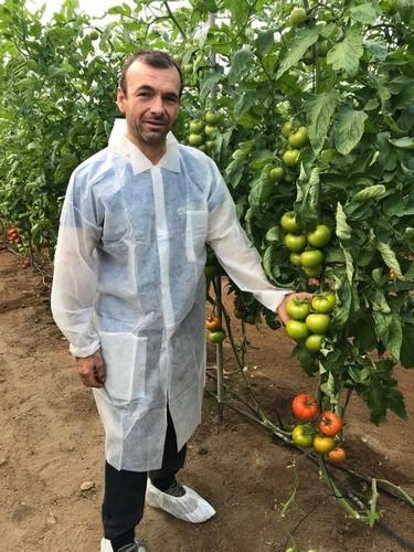 Este agricultor de la zona de El Alquián trabaja con Bateyo y le gusta mucho por el equilibrio de planta que tiene