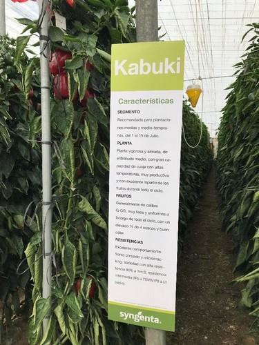 Los agricultores pudieron conocer las características más importantes de Kabuki