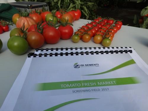 Jornada de valoración de tomate de ISI Sementi en Campohermoso