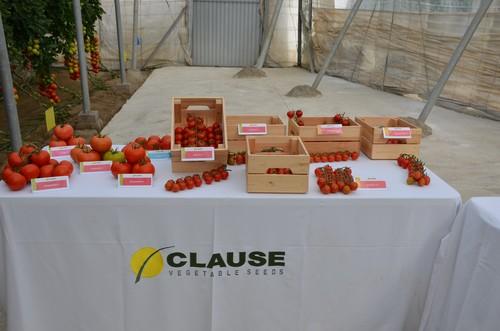 HM Clause presenta su catálogo de tomate en su nueva finca vitrina