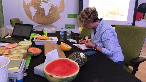 Seminis conquista a comercialización y distribución con sus novedades en la Melon y Watermelon Week