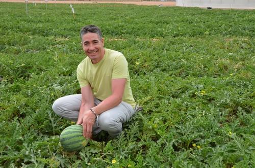 Hazera España muestra su amplia gama de melón y sandía para el campo de Cartagena