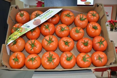 HM.CLAUSE promociona Kabrera entre los productores de tomate del Poniente