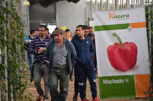 La casa de semillas Hazera España muestra a los agricultores sus variedades Machado y Ochoymedio