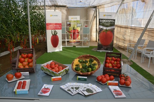 HM.CLAUSE presenta novedades en varias tipologías de tomate en sus jornadas de puertas abiertas
