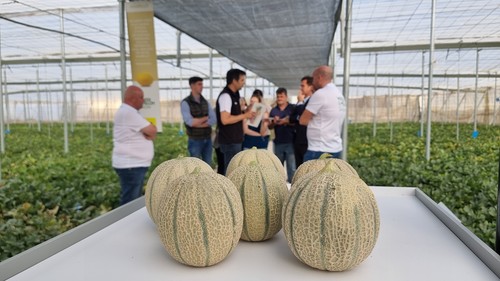 Más de medio millar de profesionales se reúnen el 'Water&Melon Show' de Semillas Fitó en Almería
