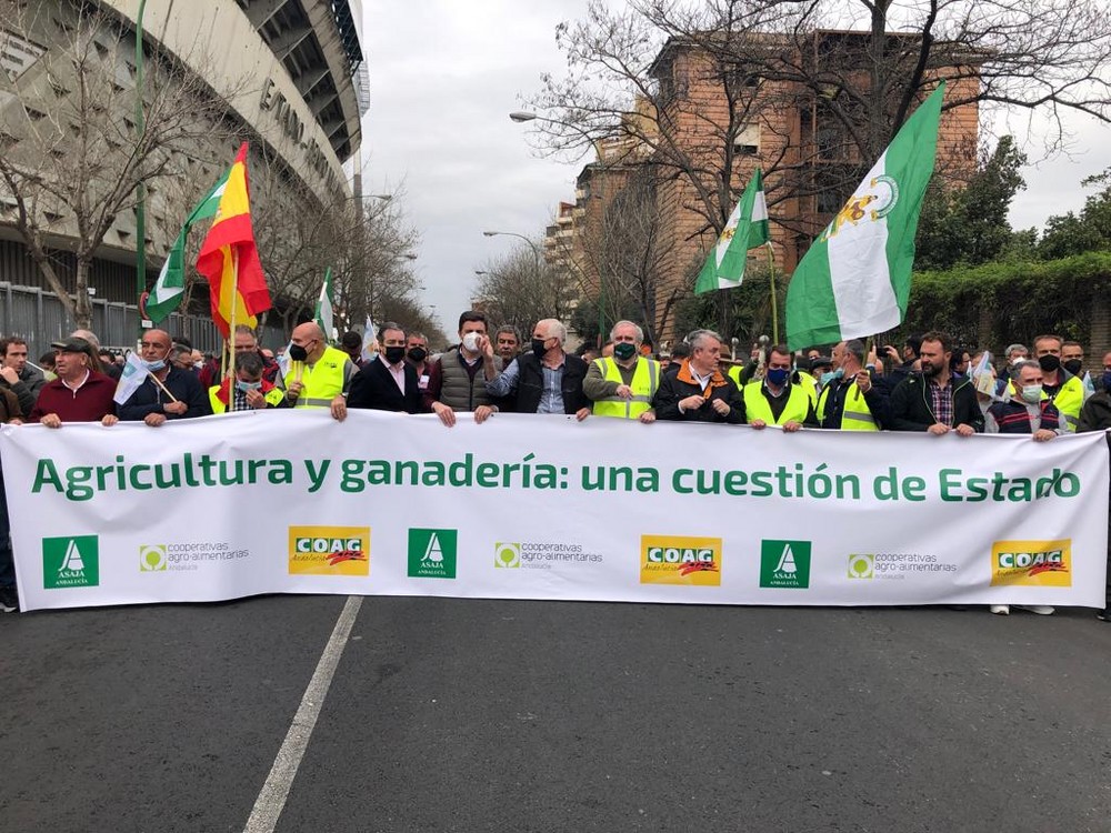 Miles de agricultores y ganaderos se movilizan en Sevilla para protestar por la crisis del sector