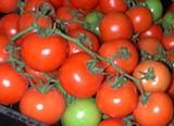 Francisco Abad, gerente de Dafrán S. L.: “Tomate y pimiento destacan sobre el resto de productos por sus buenos precios”