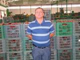 Juan Ruiz, comercial de Frudelia, S.L.: “Las dificultades para llegar a los mercados han incidido a la baja en los precios hortícolas”