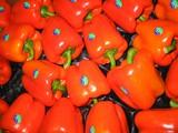 Pimiento y tomate cierran el mes de mayo vendiéndose a la mitad de precio de hace un año