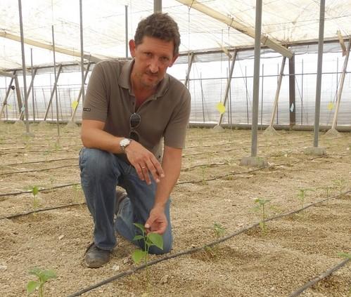 “Los bioestimulantes ecológicos de Trama y Azahar mejoran los cuajes de los cultivos y la calidad de sus frutos”