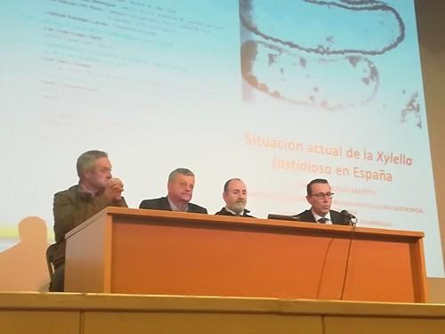 José Manuel Ortiz inaugura en Vélez Rubio una jornada sobre enfermedades causadas por la bacteria Xylella fastidiosa