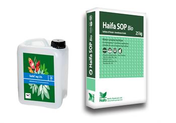 Haifa iberia promueve su catálogo de productos para agricultura ecológica