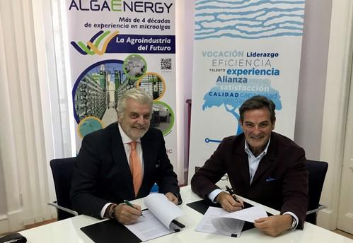 AlgaEnergy y DF Grupo se asocian para la distribución de los bioestimulantes agrícolas AgriAlgae® en el mercado hispano-luso
