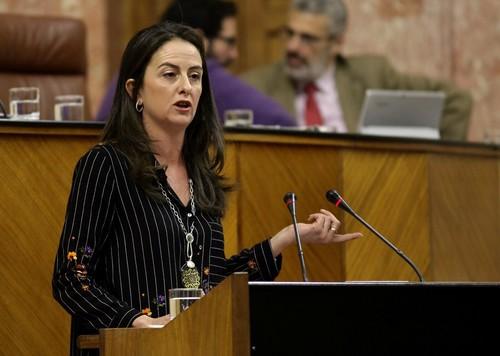 El PSOE rechaza un Pacto Andaluz por el Agua y “vuelve a castigar” a la provincia de Almería