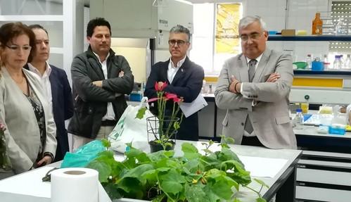 Ramírez de Arellano destaca el compromiso del sector hortofrutícola almeriense con la calidad y la innovación