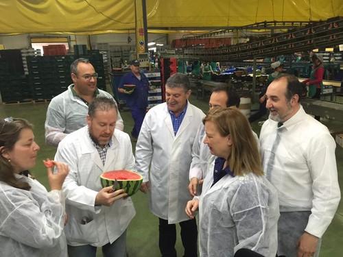 La Delegación de Agricultura de la Junta de Andalucía intensifica los controles sobre la madurez en sandía y melón