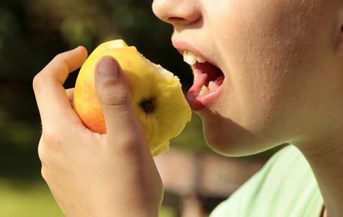 Proexport entrega 1,2 millones las raciones de frutas y hortalizas a escolares murcianos