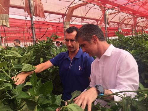 Cerca de 3.000 productores apuestan por la agricultura ecológica en la Región de Murcia