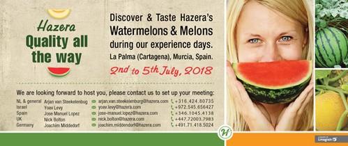 Hazera presenta sus variedades de melón y sandía del 2 al 5 de julio en el campo de Cartagena