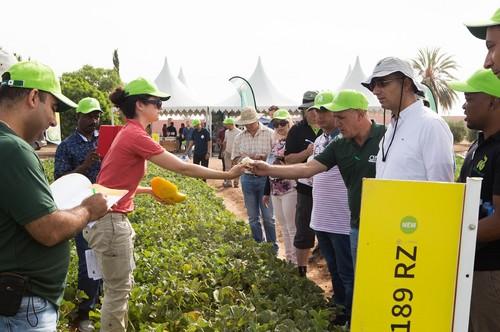 El Global Melon & Watermelon Event 2018 de Rijk Zwaan se despide hasta el próximo año con un gran éxito