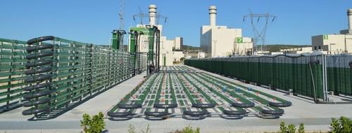 AlgaEnergy abre en Japón su primera filial en el extranjero