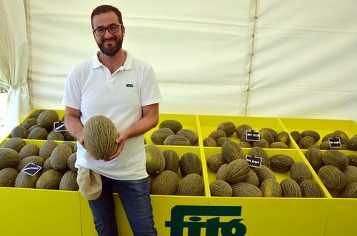 Más de 300 personas de toda la cadena agroalimentaria conocen las novedades en melón de Semillas Fitó en su FitóWeek