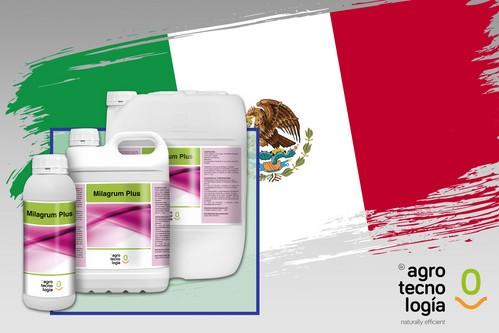 MILAGRUM PLUS de Grupo Agrotecnología obtiene el registro Biofungicida COFEPRIS en México