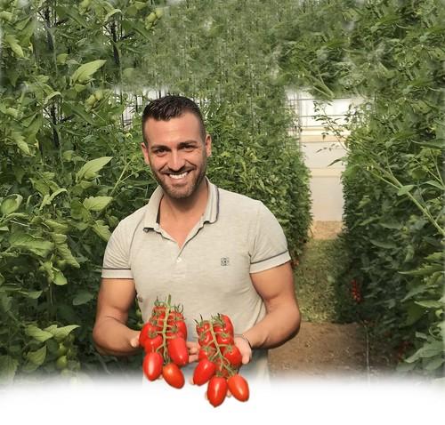 ENDEVORY, el tomate rama de EUGEN SEED que satisface a toda la cadena alimentaria