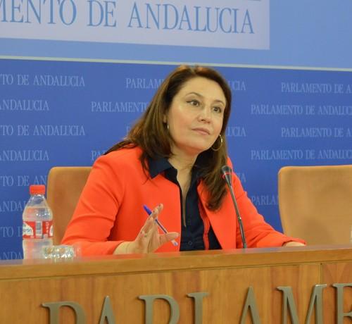 El PP pide que se ponga en marcha un sistema público que garantice la gestión de los residuos plásticos en la provincia por parte de la Junta de Andalucía