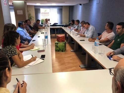 Murcia exige al Ministerio una alternativa a la falta de productos fitosanitarios para los cultivos menores