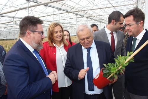 Sánchez Haro pone en valor el “creciente liderazgo”  de Almería en la exportación de plantas ornamentales