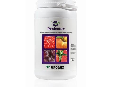 Protectus®, la nueva generación antibotrytis de Kenogard
