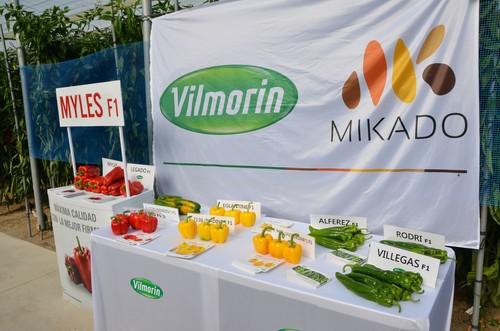 Las II Jornadas de Puertas Abiertas de pimiento de Vilmorin-Mikado reúnen a un gran número de agricultores