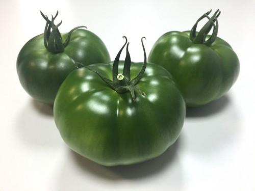 Top Seeds amplía su gama  de tomate con variedades  exclusivas y adaptadas a la  perfección a la zona de Murcia