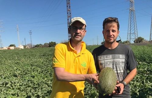 Seminis prepara una nueva 'International Melon Week'
