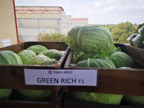Takii Seed presenta sus variedades más importantes de brócoli, col plana, col de Milán y otros productos en su Open Day en San Javier