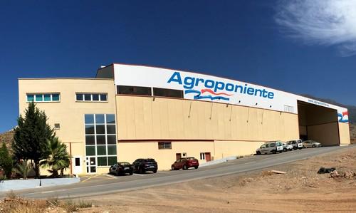 Grupo Agroponiente cerró 2018 con 24 centros logísticos