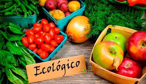 Rin Ran Market acoge la primera jornada destinada a los productos ecológicos de la Región de Murcia