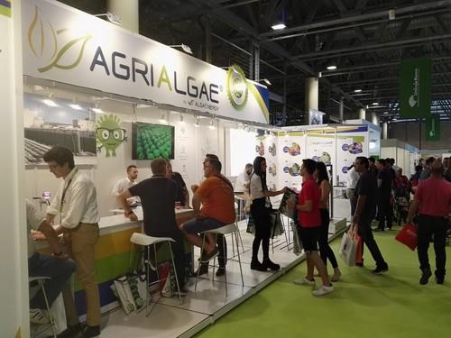 Gran éxito de AlgaEnergy en Infoagro Exhibition