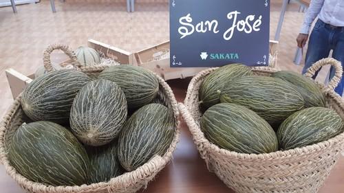 San José, el nuevo melón piel de sapo de Sakata, sorprende por su calidad en temprano