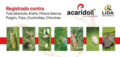 Acaridoil®, acaricida-insecticida ecológico para el control de Tuta absoluta, araña, mosca blanca y otras plagas